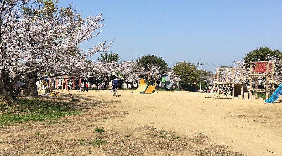 🏞️ 카모 스포츠 공원(카모 코엔)